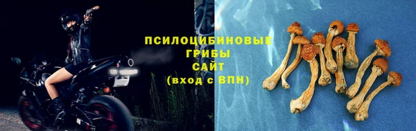 крисы Армянск