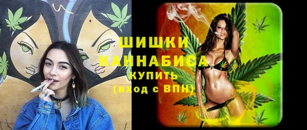крисы Армянск