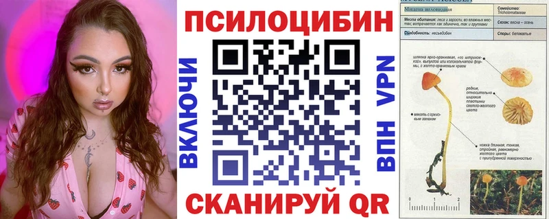где купить наркоту  Мещовск  kraken зеркало  Галлюциногенные грибы ЛСД 